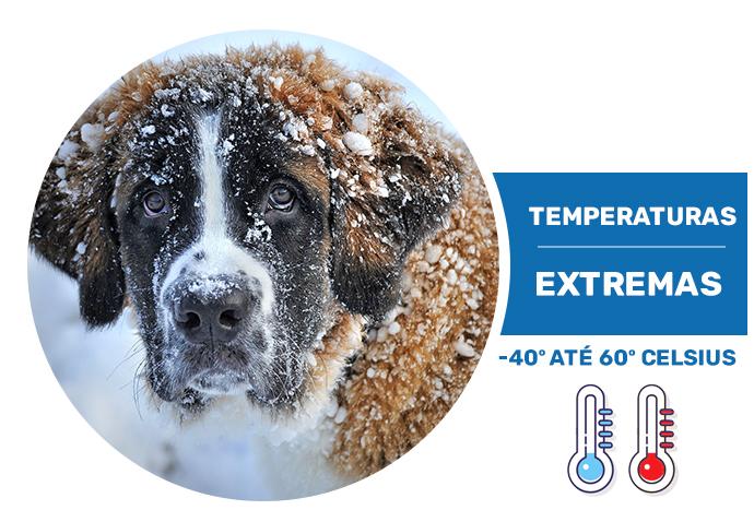 IB9367-EHT-V2 suporta temperaturas extremas IB9367-EHT-V2 suporta temperaturas extremas